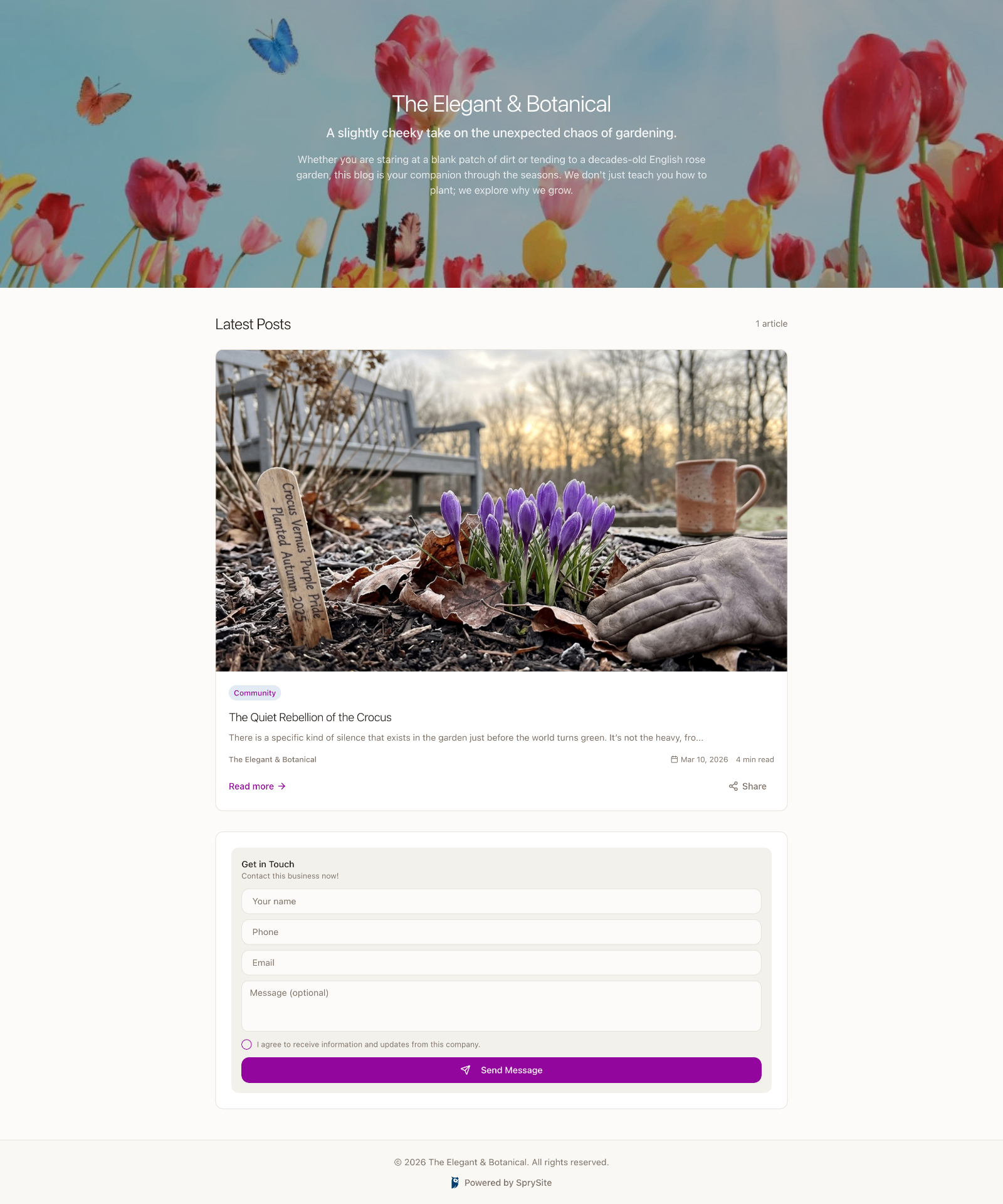 Blog website example